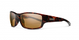 Suncloud Hull - Tortoise / Polarized Brown